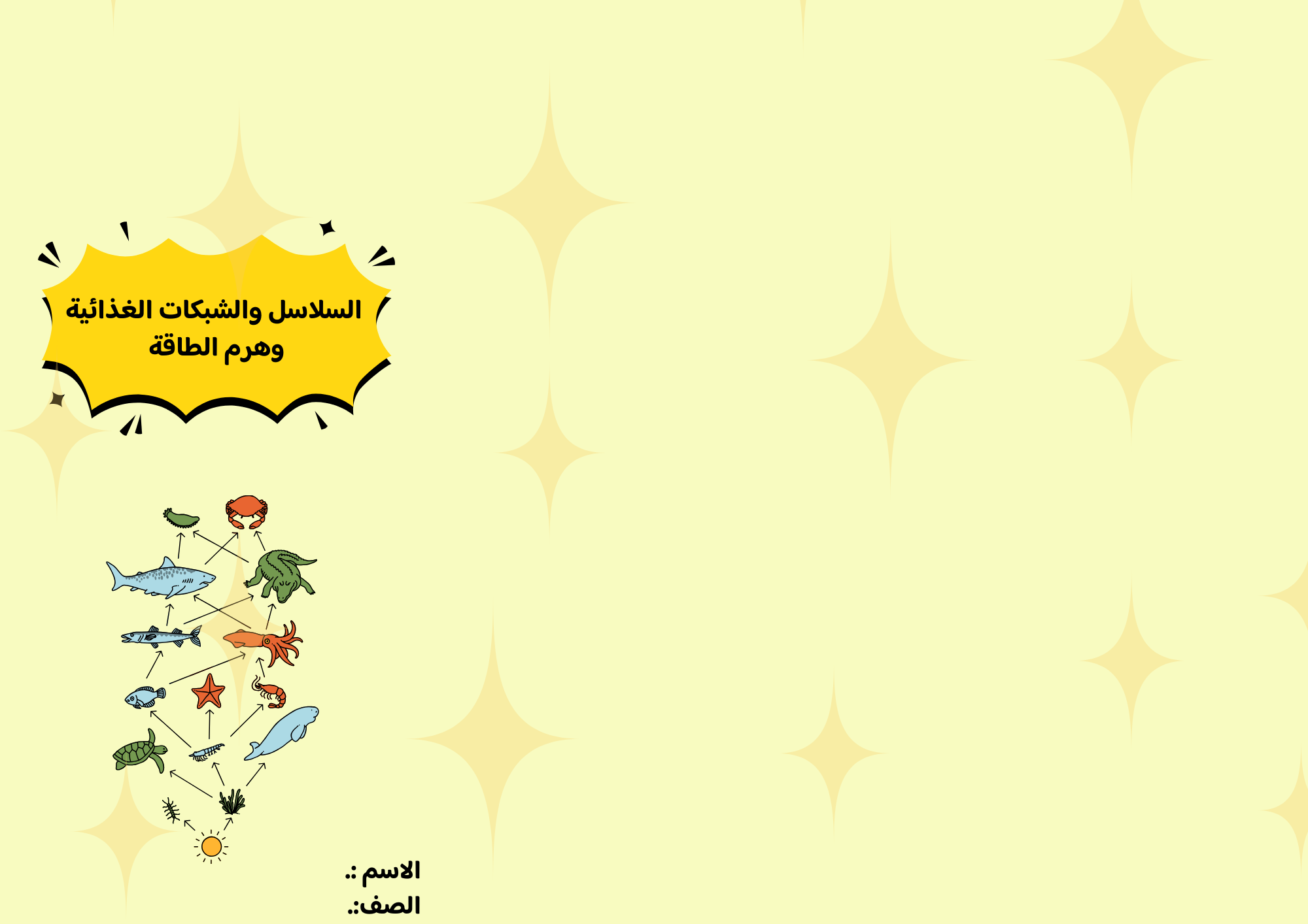 مطوية السلاسل والشبكات الغذائية وهرم الطاقة صف سادس الفصل الدراسي الثاني