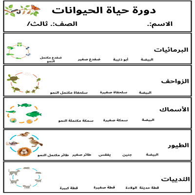 مطوية دورة حياة الحيوانات صف ثالث الفصل الدراسي الأول