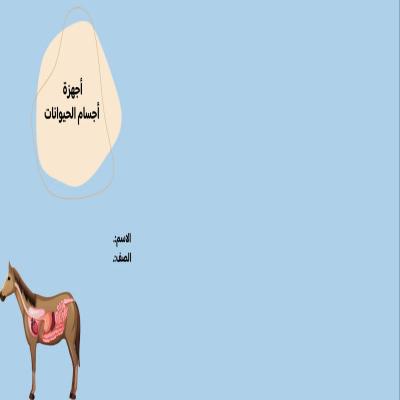 مطوية أجهزة أجسام الحيوانات صف رابع الفصل الدراسي الأول