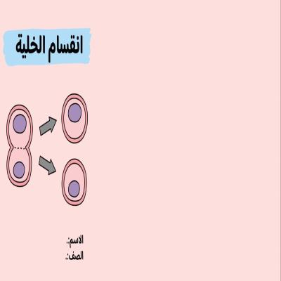 مطوية انقسام الخلية صف سادس الفصل الدراسي الأول 