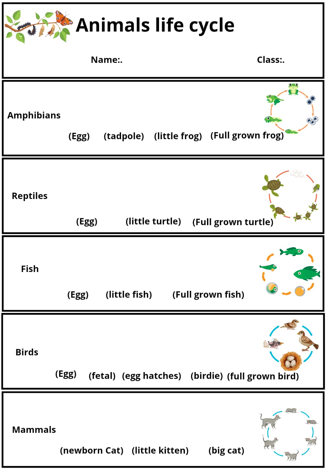 مطوية animals life cycle  
