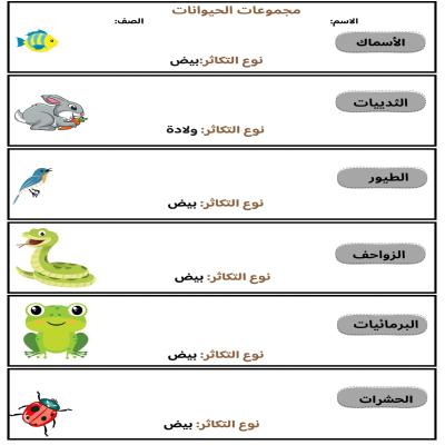 مطوية مجموعات الحيوانات صف ثاني الفصل الدراسي  الأول