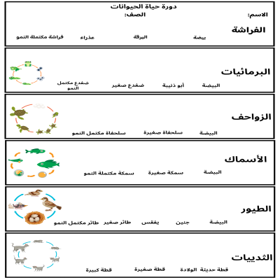 مطوية دورة حياة الحيوانات صف ثاني الفصل الدراسي الأول
